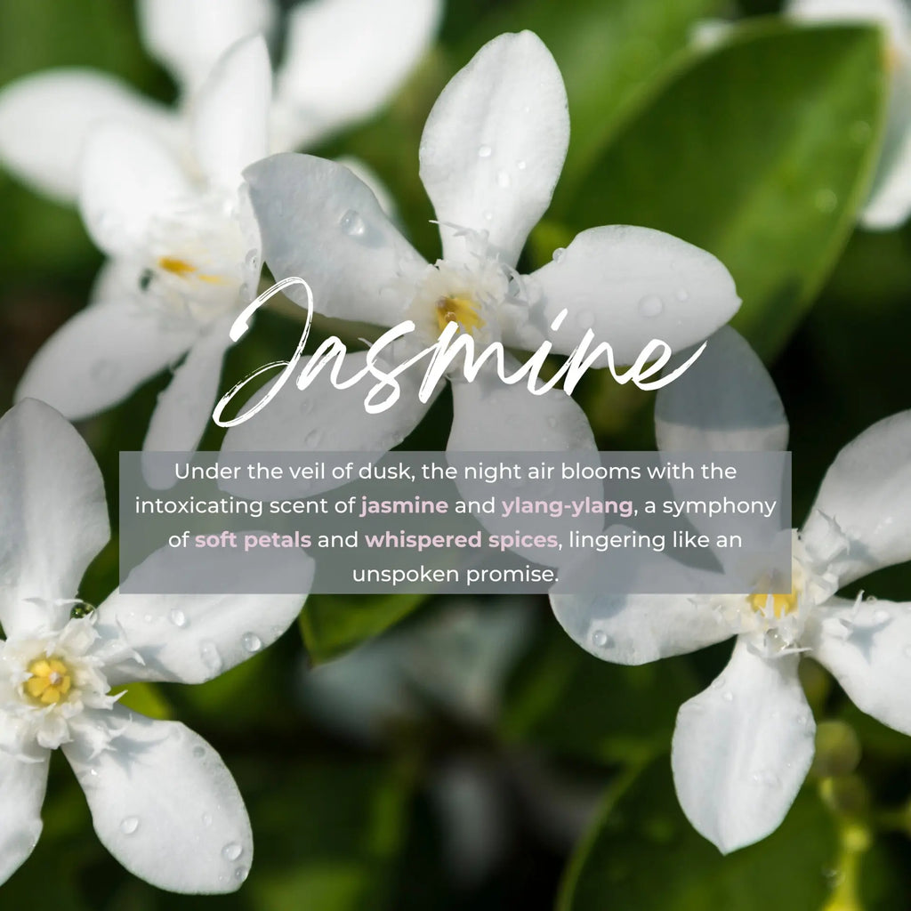 Durance Jasmine Reed Diffuser 100ml