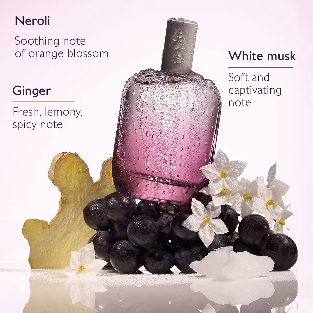 Thé des Vignes Eau Fraîche 50ml