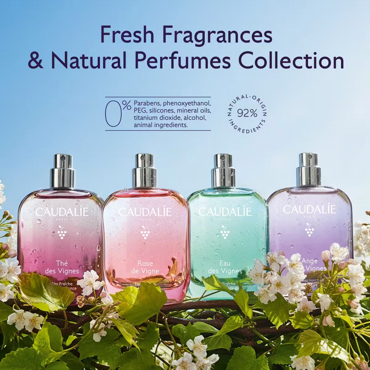 Thé des Vignes Eau Fraîche 50ml