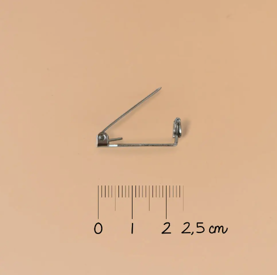 Leo Heart Brooch