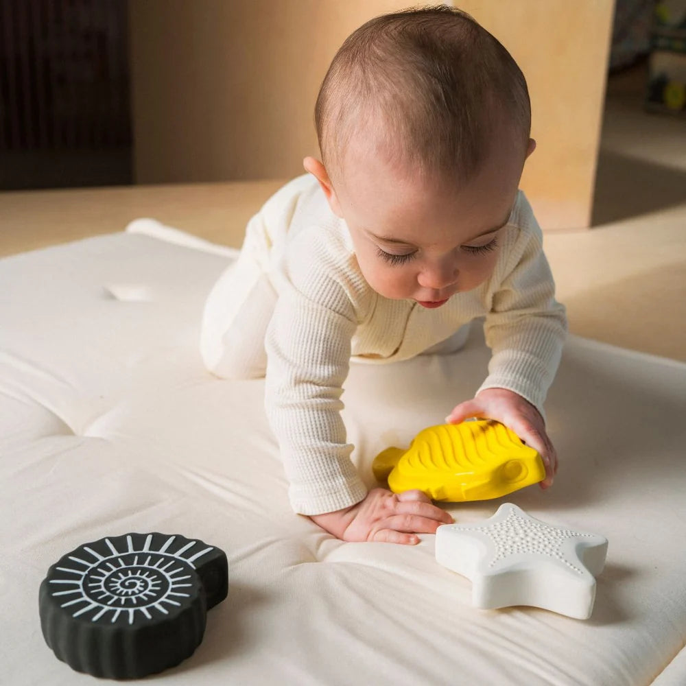 Etta Loves 3 Sensory Bath Toys