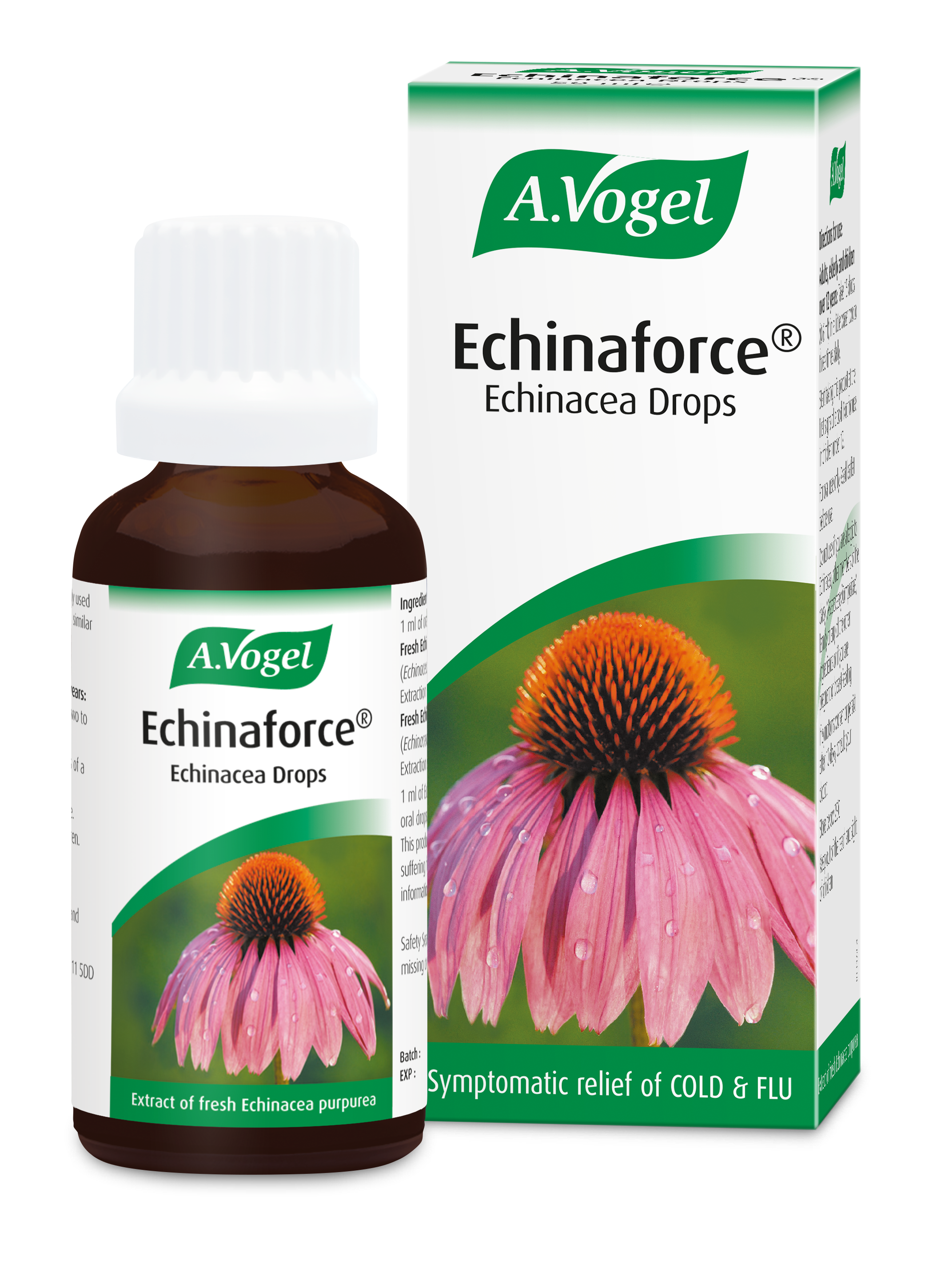 Echinaforce Echinacea Drops 15ml