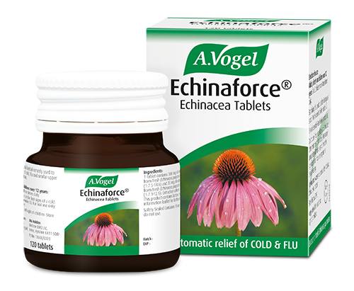 Echinaforce Tablets 42 Tablets