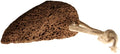 Traditional Shape Volcanic Foot Stone